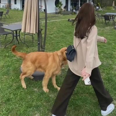 宠坏的孩子