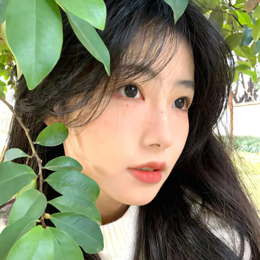 主妇的战争