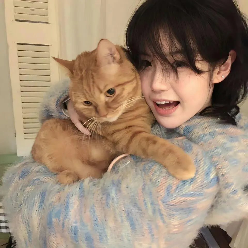 镇魂街之热血再燃